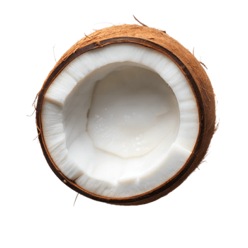 A halved coconut is displayed against a transparent background, showcasing its interior and white flesh png
