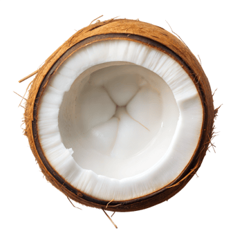A freshly cut coconut reveals its white flesh and hard outer shell against a transparent background png