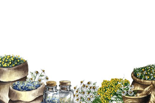 Medicinal herbs cornflower, chamomile and tansy. Frame, banner. Dried, crushed in a linen bag, in glass bottles and a wooden pot. Mortar and pestle crusher. Watercolor hand drawn illustration. png