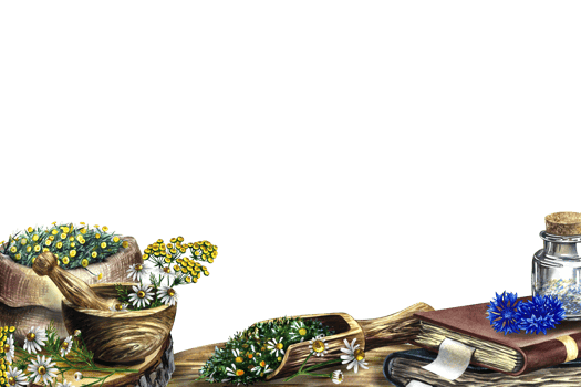 Medicinal herbs cornflower, chamomile and tansy. Frame, banner. Dried, crushed in a linen bag, in glass bottles and a wooden pot. Mortar and pestle crusher. Watercolor hand drawn illustration. png
