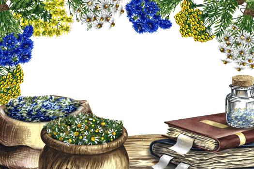 Medicinal herbs of cornflower, chamomile, tansy and St. John's wort. In a wooden pot and a linen bag. Glass vial on an old recipe book. Watercolor hand drawn illustration. png