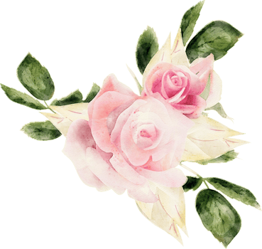 Rose Flora Watercolor illustration png