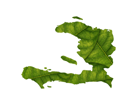 Haiti map made of green leaves ecology concept png