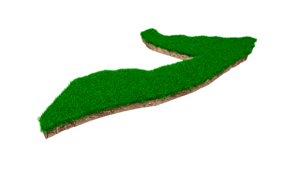 Somalia Map soil land geology cross section with green grass and Rock ground texture 3d illustration png