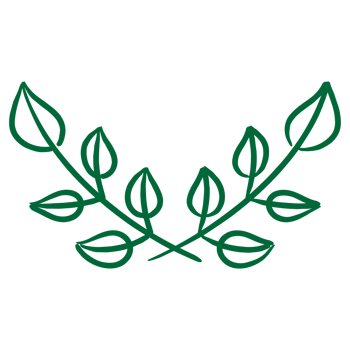 Branches, Laurel branch png