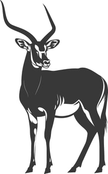 Silhouette impala animal full body black color only vector