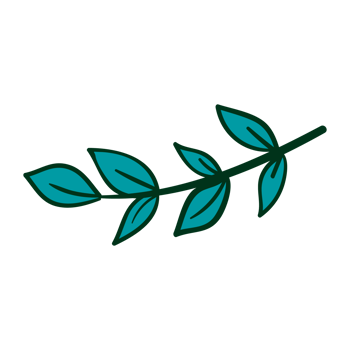 Green plant, Tree leaves png