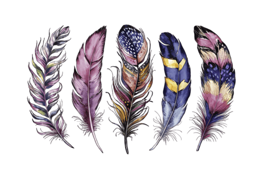 Illustrate a Captivating Series of Feathers Using Watercolor Techniques - Transparent Background png