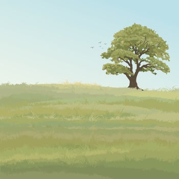 Minimalist landscape grass field with big tree flat design illustrated have blank space. vector