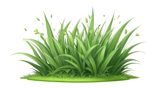 grass clipart with transparent background png