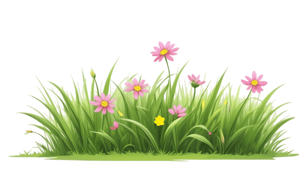 grass and flower. summer grass clipart png