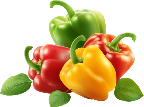 variety of bell peppers isolated on a transparent background png