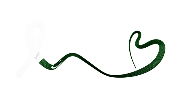 Pakistani flag heart shaped wavy ribbon. 3d illustration. png