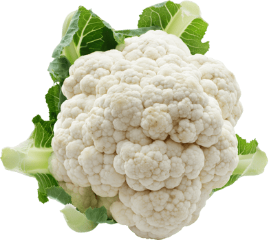 Fresh white cauliflower vegetable isolated on a transparent background png