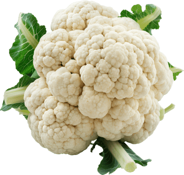 Fresh white cauliflower vegetable isolated on a transparent background png