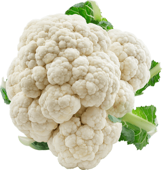 Fresh white cauliflower vegetable isolated on a transparent background png