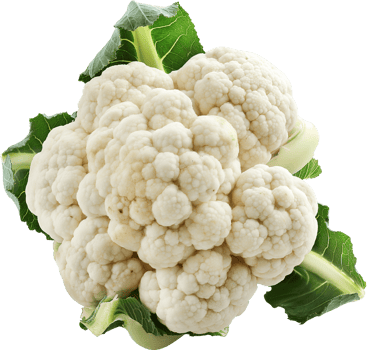 Fresh white cauliflower vegetable isolated on a transparent background png