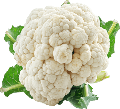 Fresh white cauliflower vegetable isolated on a transparent background png