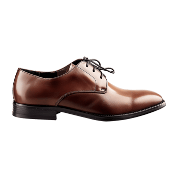 Mens shoe isolated on transparent background png