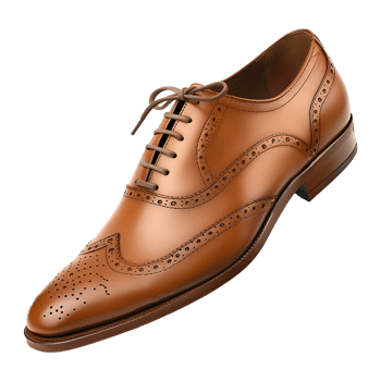 Mens shoe isolated on transparent background png
