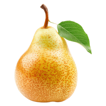 Pear fruit isolated on transparent background png