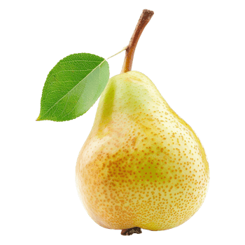 Pear fruit isolated on transparent background png