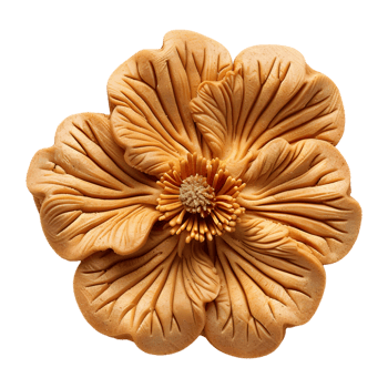 Flower Biscuit on Transparent Background png