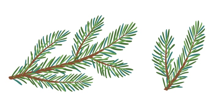Christmas spruce branch set. Larch, Pine, spruce branch, evergreen tree, fir icon, winter plants, New Year wood, holiday decoration. Hand drawn illustration. vector