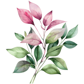 Hand drawn watercolor floral leaves illustration on transparent background with delicate details png