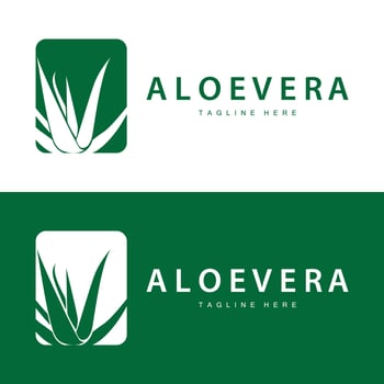 aloe vera logo cosmetic design simple green plant health symbol illustration vector