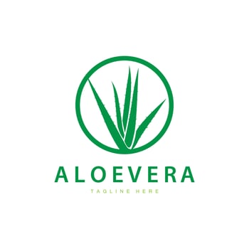aloe vera logo cosmetic design simple green plant health symbol illustration vector