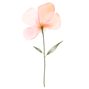 Watercolour Orange and Pink Flower on a Transparent Background png