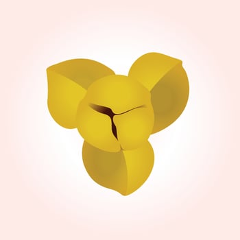 Romdoul 3D Khmer vector