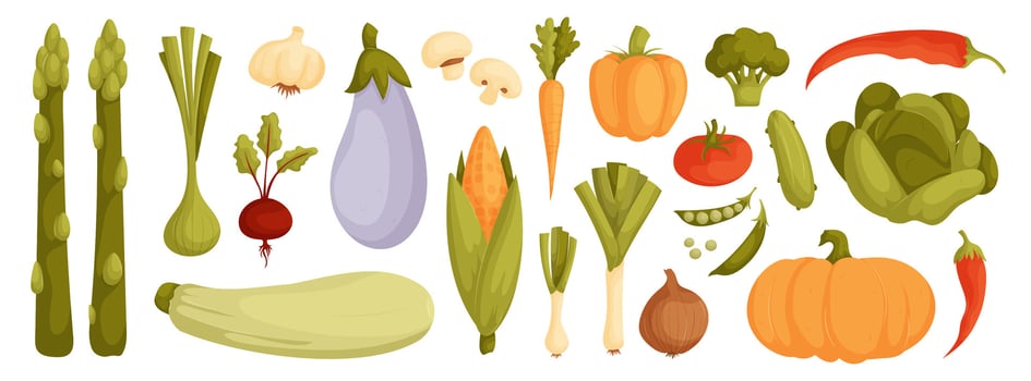 Vegetables and fruits set illustration vector