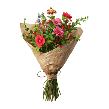 Colorful Flowers Bokeh on Transparent Background png