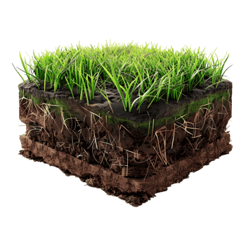 Wheatgrass supplement with Soil on Transparent Background png