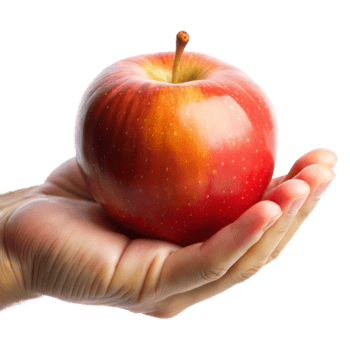 Hand Holding a Fresh Red Apple With Transparent Background png