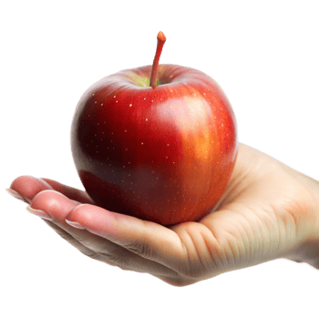 Hand Holding Fresh Red Apple Against Transparent Background png