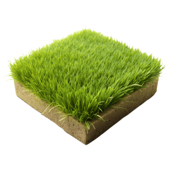 A high-quality, detailed view of an artificial grass square with a transparent background png