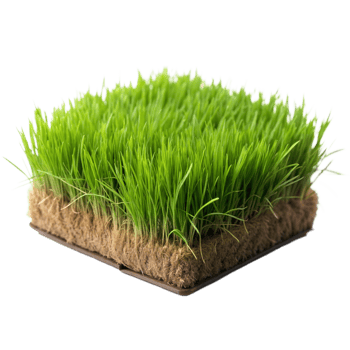 A small, square section of vibrant green grass showing detailed roots and soil, isolated on a transparent background png