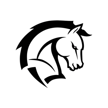 Beautiful Horse Head Silhouette png