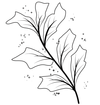 Leaves and flowers png