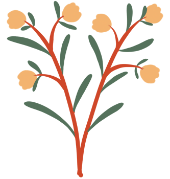 Leaves and flowers png