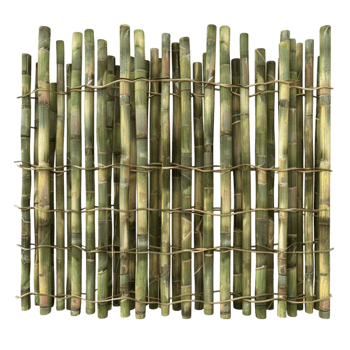 Bamboo fence with a transparent background png