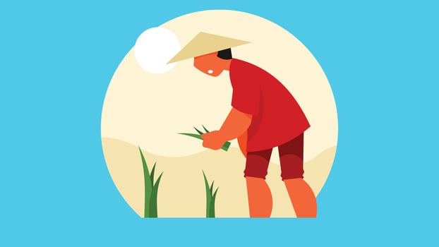 Chinese planting Rice in a field vector