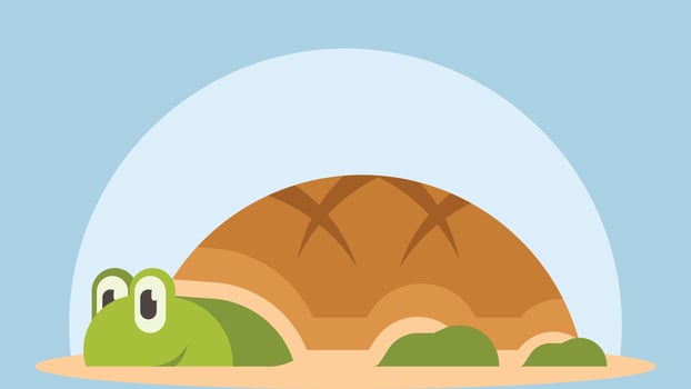 Turtle animal hides in the sand vector