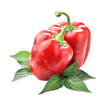 Fresh red ripe pepper with leaves isolated on transparent background png