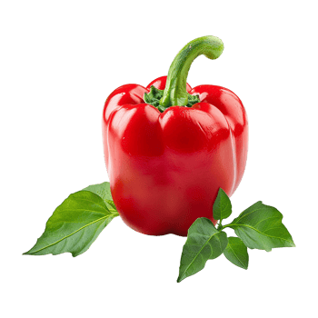 Fresh red ripe pepper with leaves isolated on transparent background png