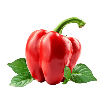 Fresh red ripe pepper with leaves isolated on transparent background png