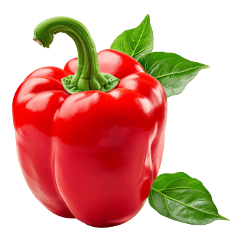 Fresh red ripe pepper with leaves isolated on transparent background png